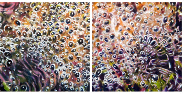 Underwater Photosynthesis